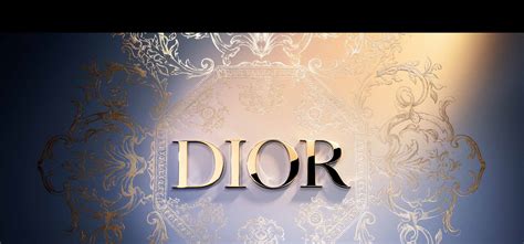 christian dior store online|christian dior shop online usa.